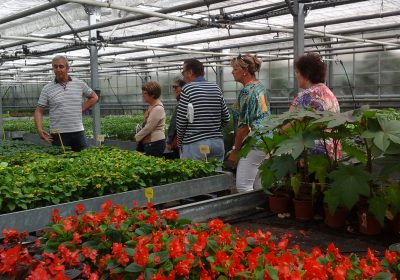 Visite des serres municipales de Salon de Provence