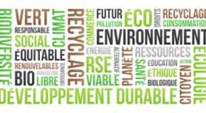 Revue de Sites de Développement et Consommation Durable