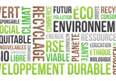 Revue de Sites de Développement et Consommation Durable