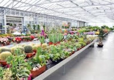 Les enseignes de jardinerie et de bricolage sont-elles de bon conseil ?